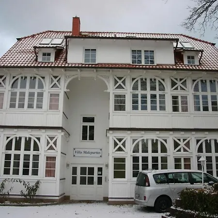 Cormorant In The Malepartus Binz